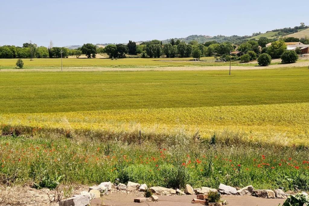 Villa Sant Isidoro コリナルド エクステリア 写真